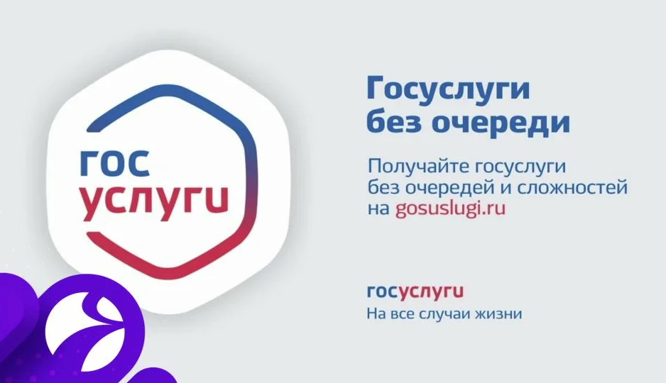 Инфографичные ролики 2025 госуслуги.